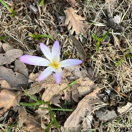 Rural El Herrero, Vistas Espectaculare *