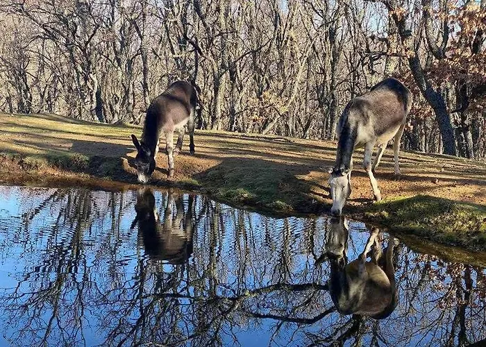 아파트 Rural El Herrero, Vistas Espectaculare Cabezas Bajas