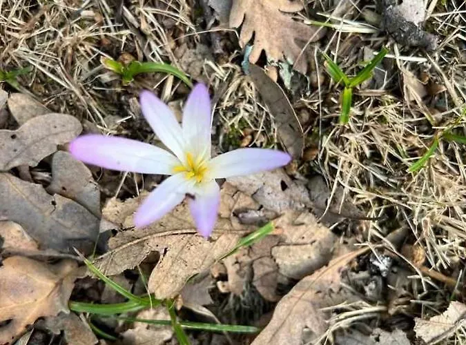 Rural El Herrero, Vistas Espectaculare *